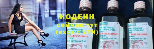 крисы Надым