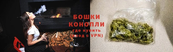 крисы Надым