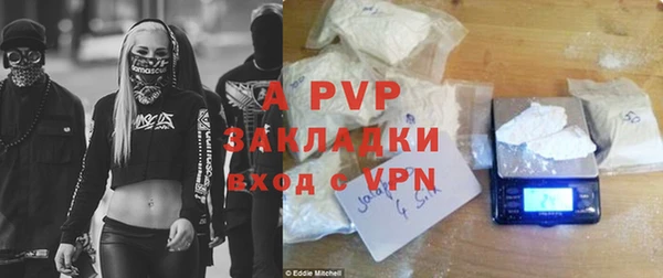 крисы Надым