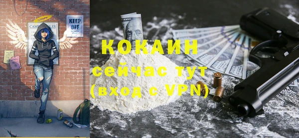 крисы Надым