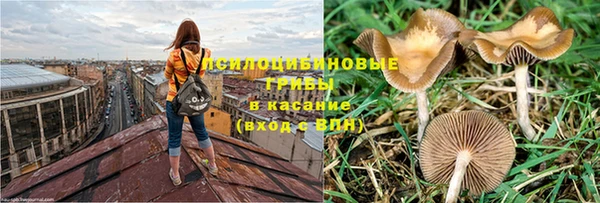 крисы Надым