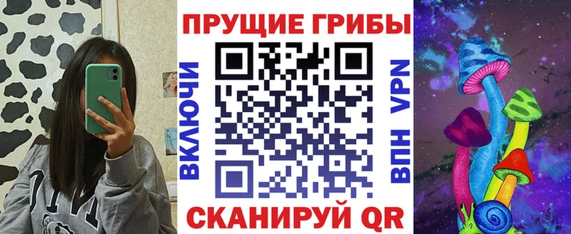 где можно купить наркотик  Тбилисская  Псилоцибиновые грибы GOLDEN TEACHER 